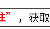 论植入，谁有《繁花》这么肆无忌惮？遍地广告却没人反感